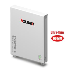 BSL Powerline 5  5.12Kwh 100Ah Lithium battery (VAT incl)