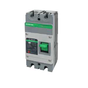 DC 125A 2P Circuit Breaker (compatible with HV 50KW Inverters)-vat incl